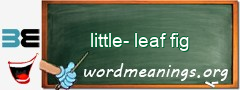 WordMeaning blackboard for little-leaf fig